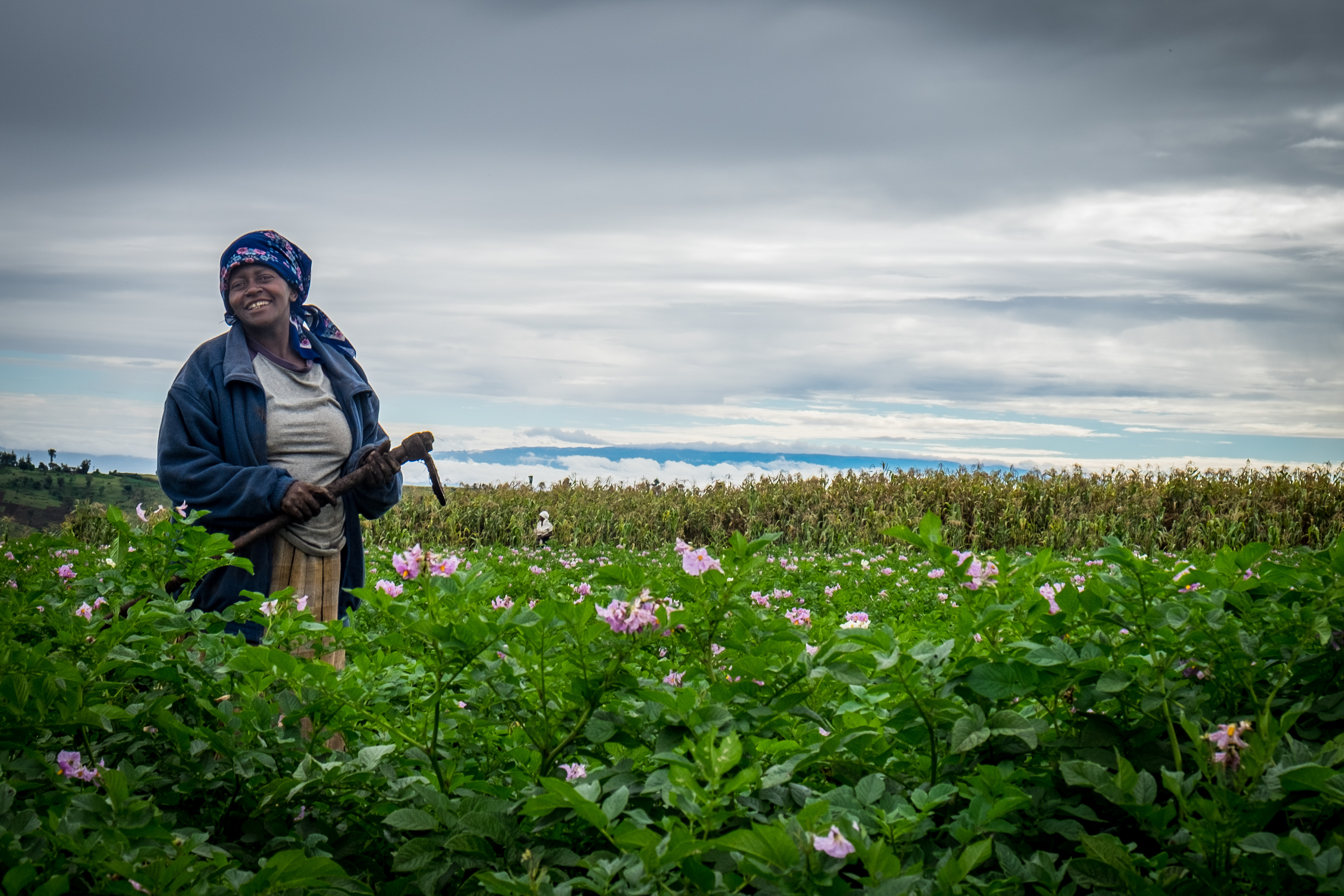 Female potato farmer standing smiling on a potato field in Kenya, Africa.